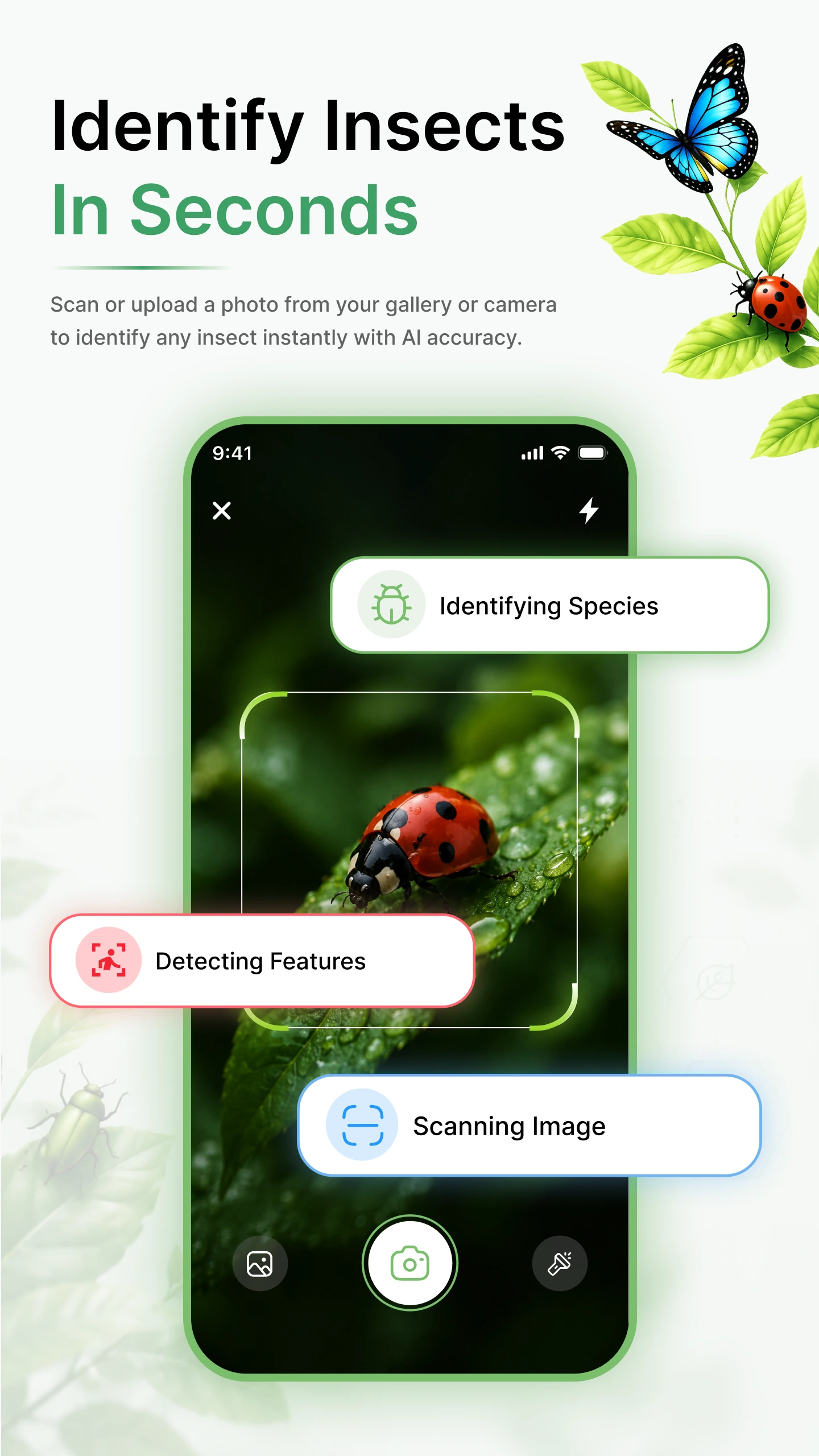 Insecto Screen 1