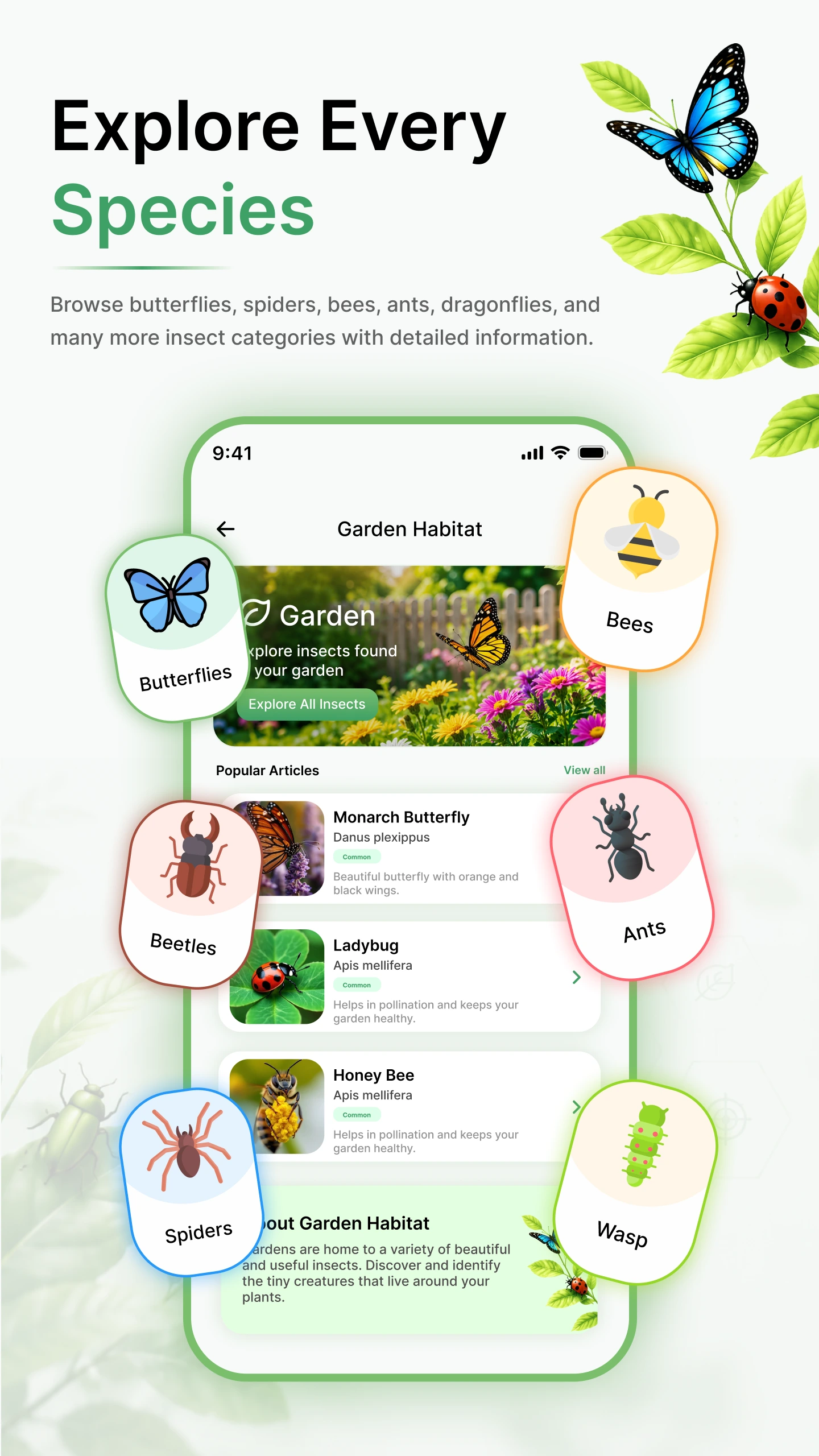 Insecto Screen 2