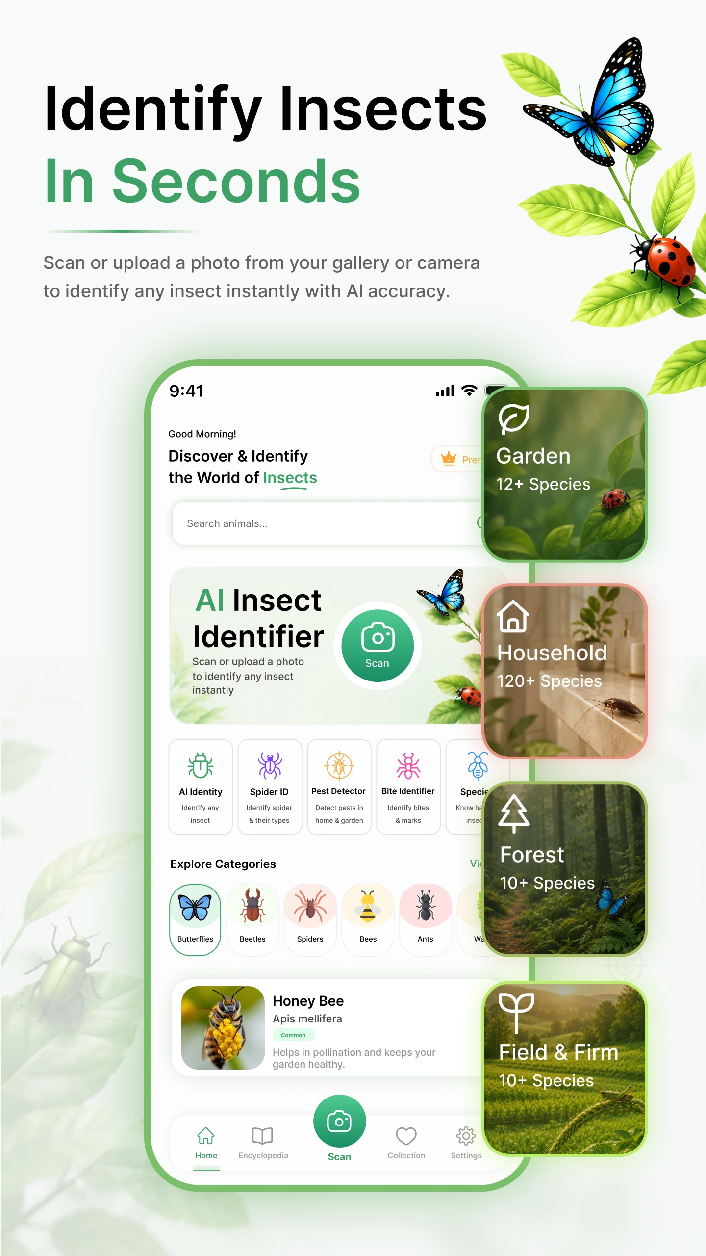 Insecto Screen 5